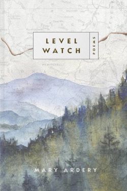 Book Cover of Level Watch