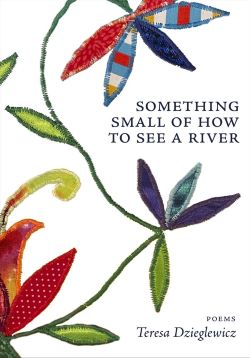 Book Cover of Something Small of How to See a River