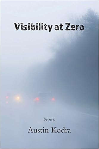 Book Cover of Visibility at Zero